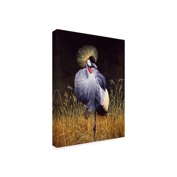 Harro Maass 'Crowned Crane' Canvas Art,18x24